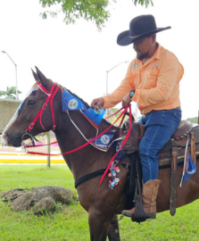 Belize-horsebcak-riding-team-elder