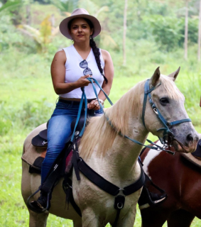 gentle and patient horses