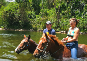 belize-horseback-riding-jungle ride & swim