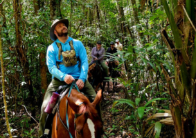 belize-horseback-riding-jungle ride