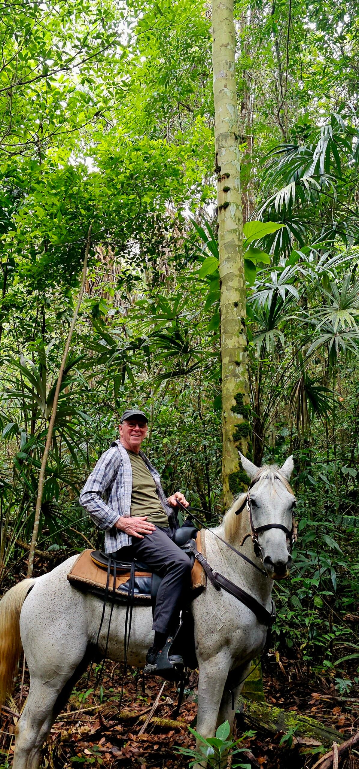 Silver in jungle horseback ride