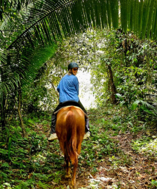 Copper in the jungle