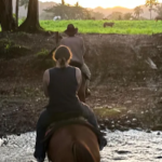 green acres review - diana l
