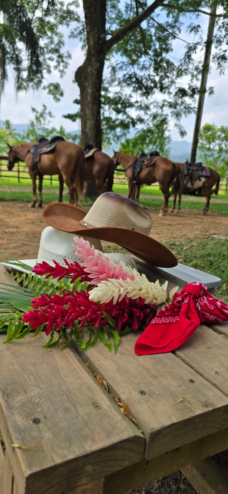 jungle horseback proposal in belize - 2