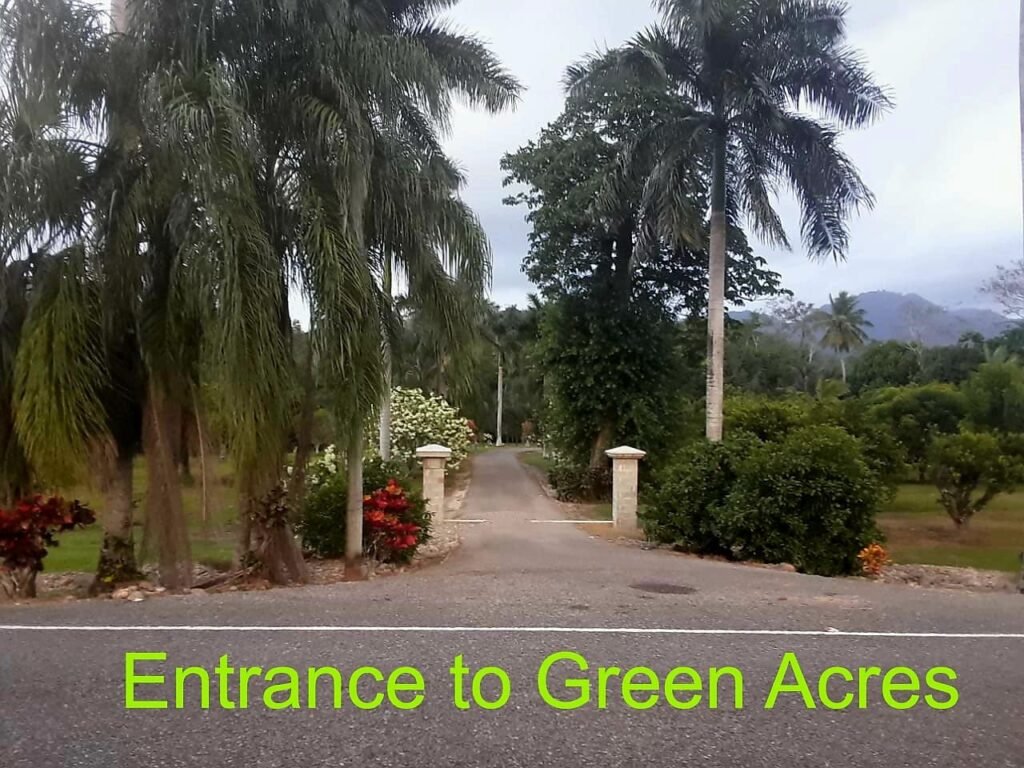 entrance to green acres jungle horseback on the hummingbird highway