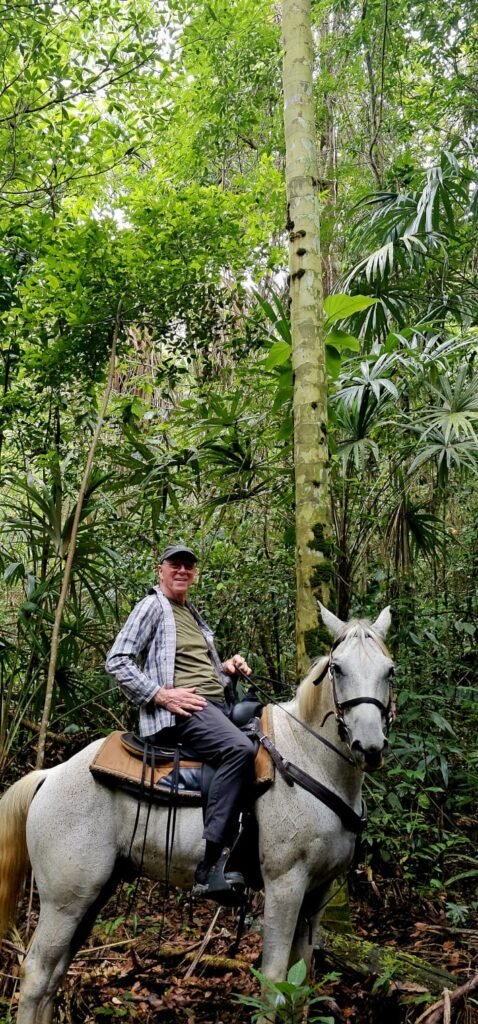 green acres jungle horseback at mile 36 on the hummingbird highaway cayo south district - 18