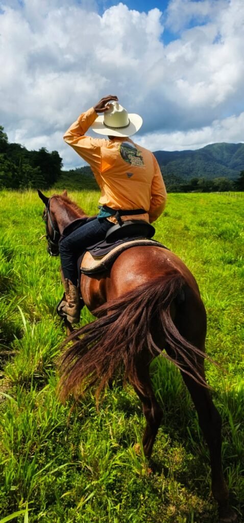 green acres jungle horseback at mile 36 on the hummingbird highaway cayo south district - 7